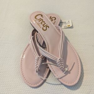 Circus By Sam Edelman Thong Summer Flip Flops multiple size 6, 6.5 .